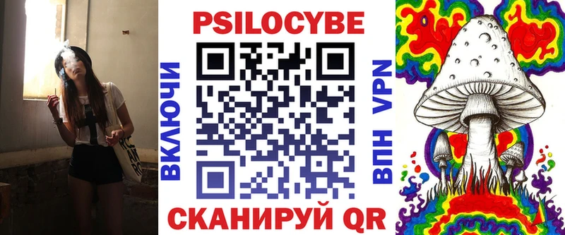 где можно купить наркотик Фокино Галлюциногенные грибы Psilocybe